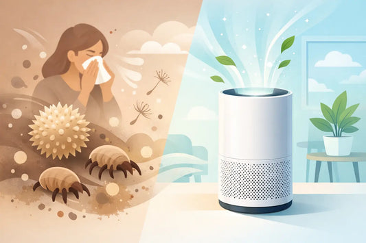 Do Air Purifiers Help Allergies? What to Know