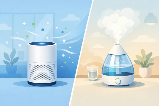 Air Purifier vs Humidifier: Which Do You Need?