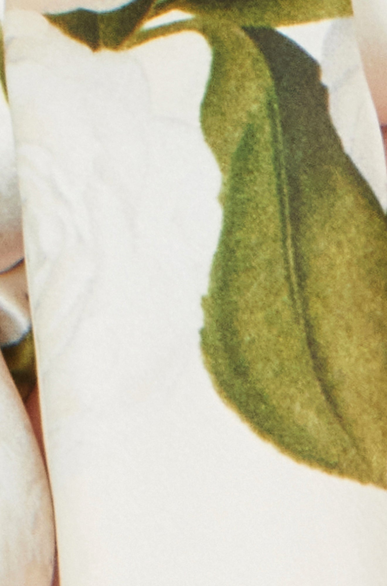 Yumi Ivory100% Silk Botanical Rose Print Scarf
