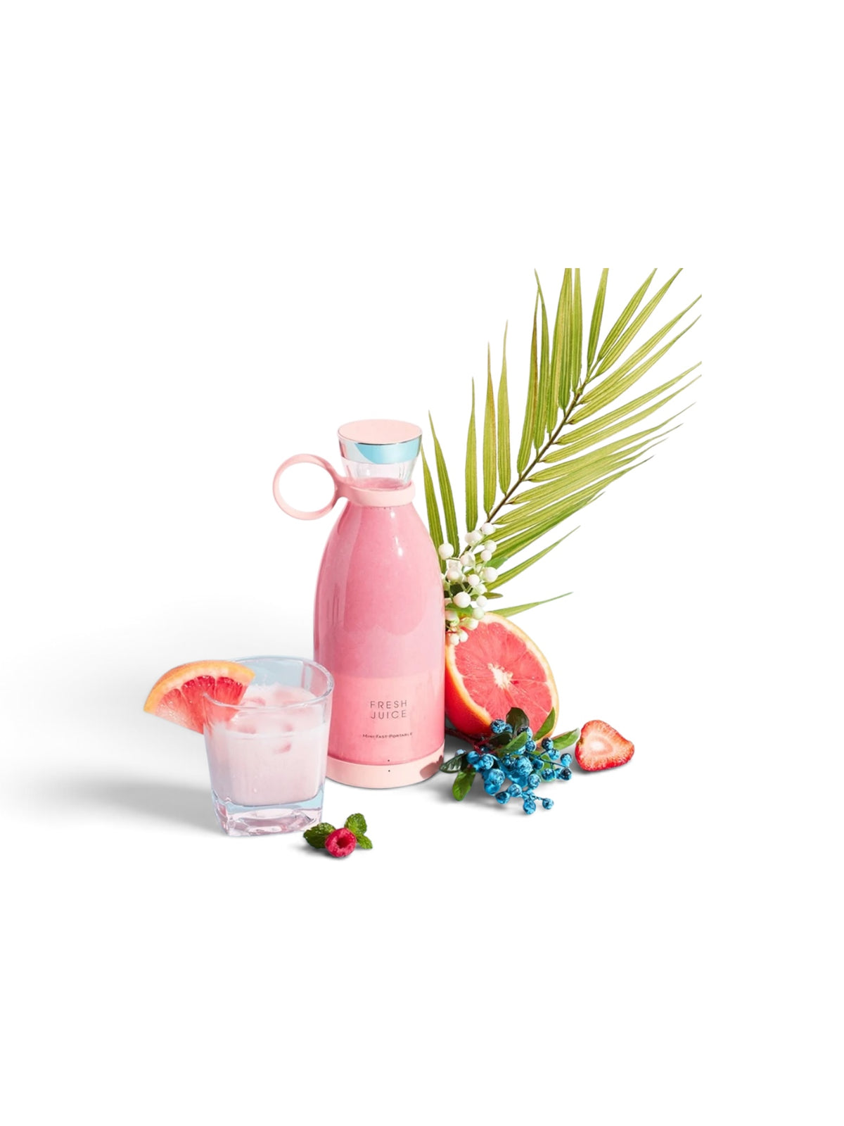 ALM NutriBlend Go